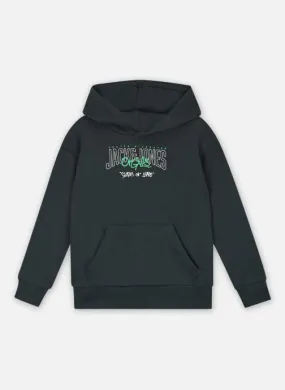      Jack & Jones Jortribeca Logo Sweat Hood Jnr - Groen   