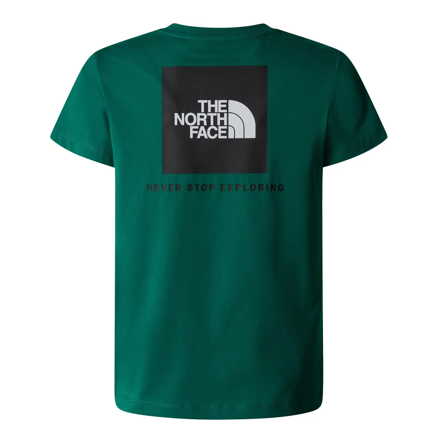 The North Face Box NSE Tee