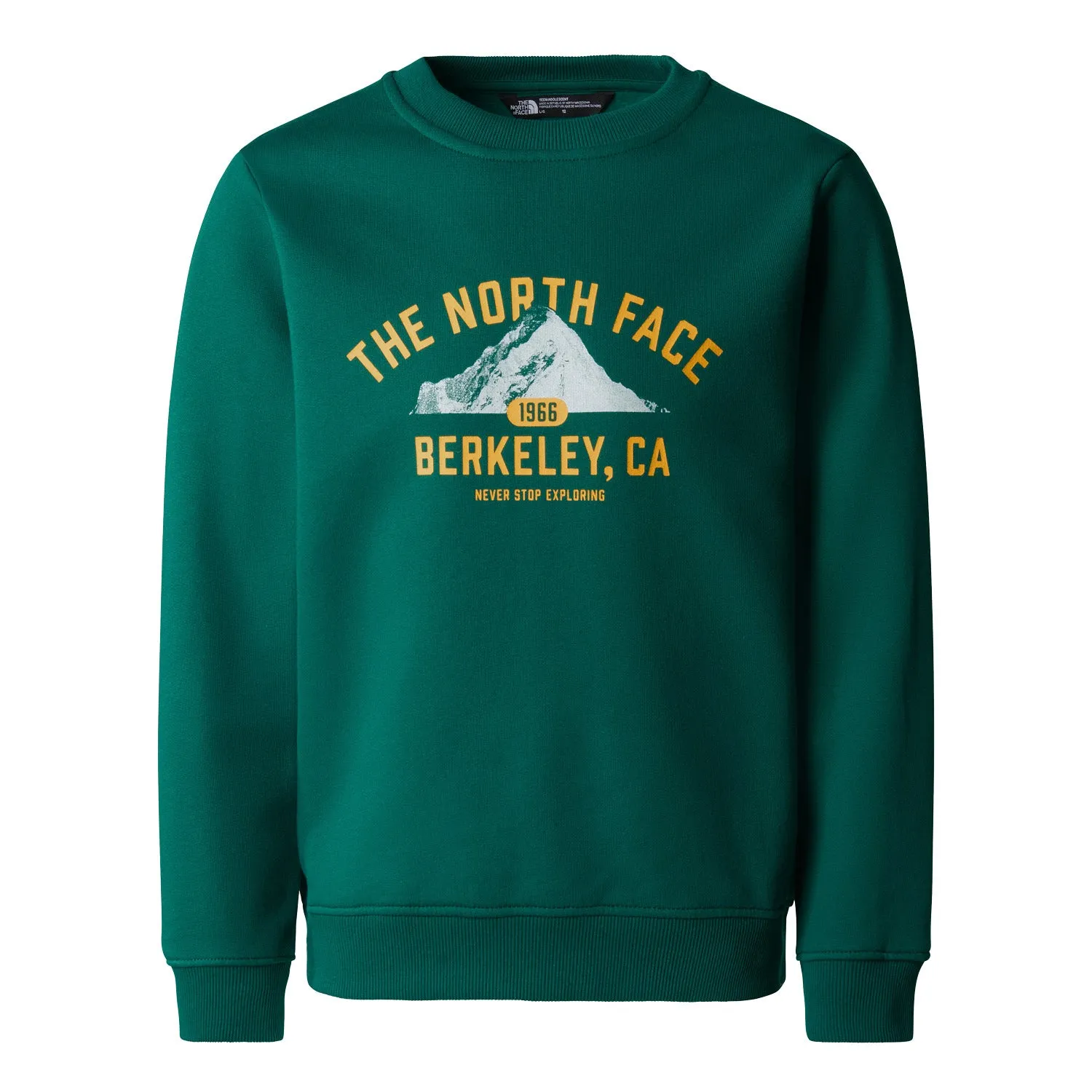 The North Face Varsity Relaxed Crew