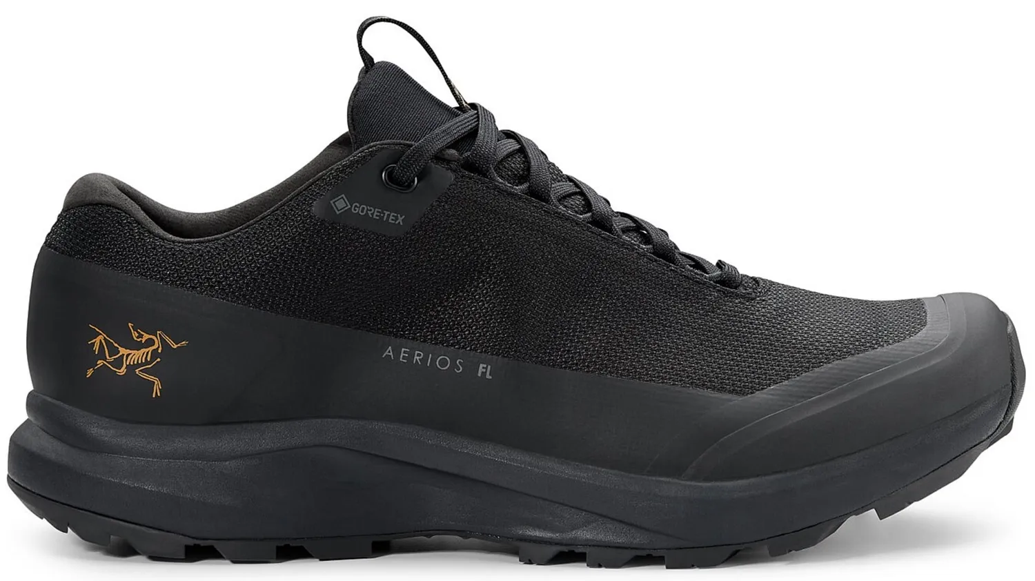 Wandelschoen Arcteryx Women Aerios FL 2 GTX Black Black